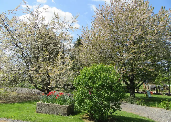 Le Petit Clos 3* Viré